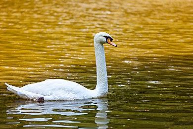 《最终幻想7：重生》内容丰富 两张光盘都差点装不完